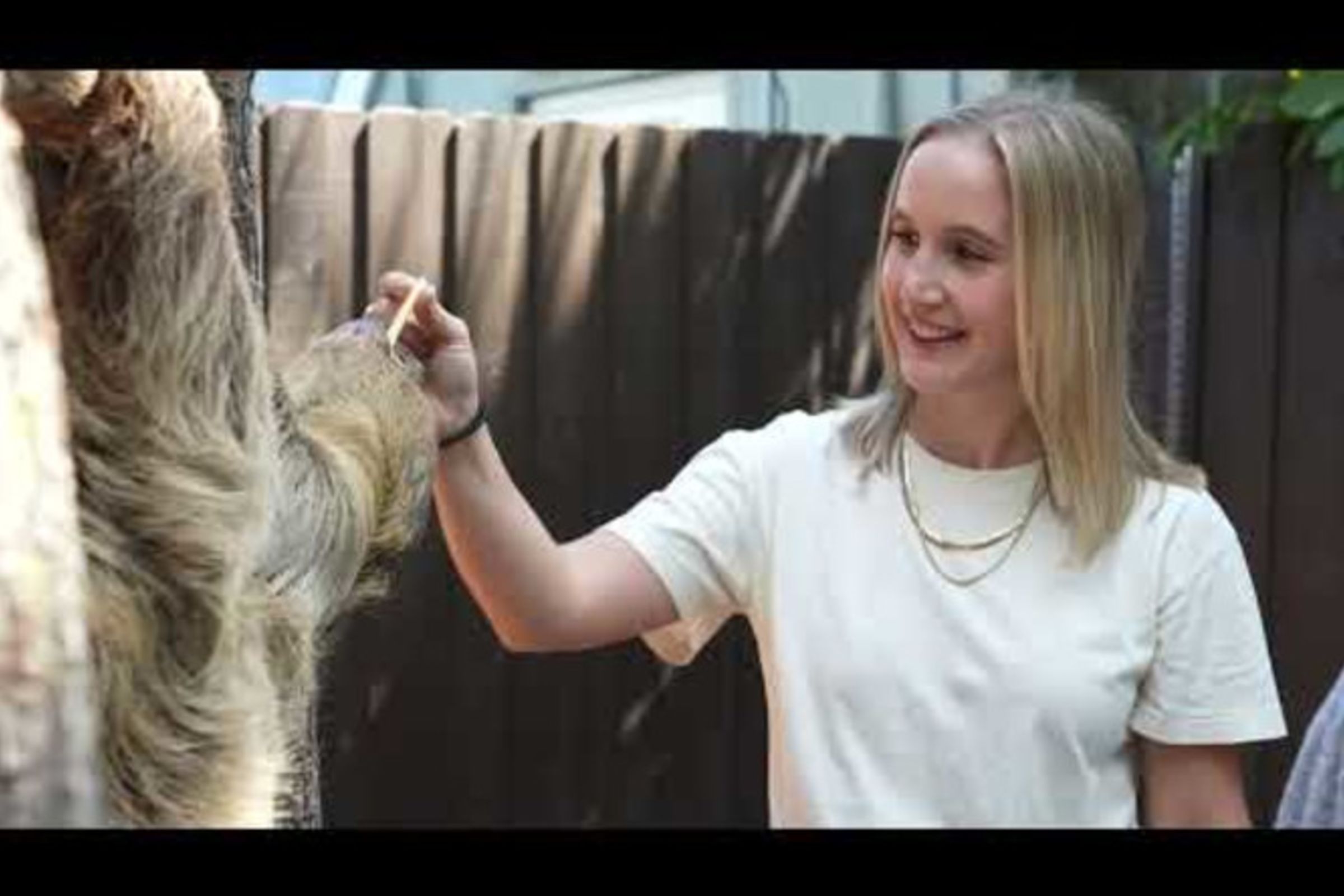 The Florida Aquarium